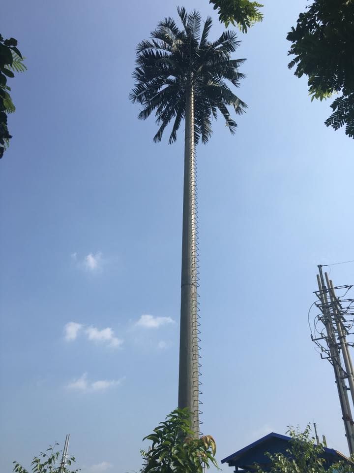 Coconut Tree Cell Tower