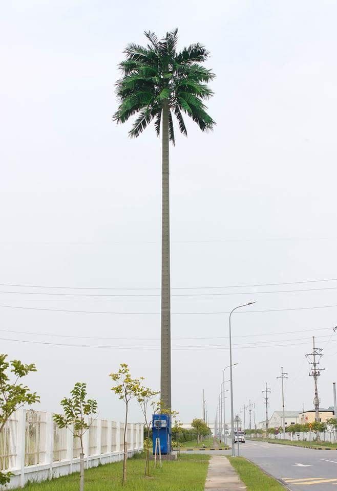 Coconut Tree Cell Tower