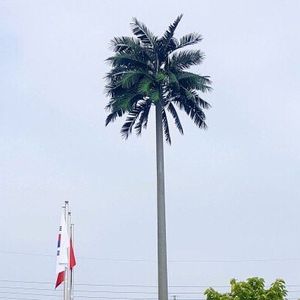 COCONUT TREE CELL TOWER