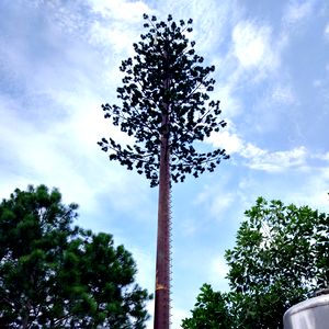 PINE TREE CELL TOWER